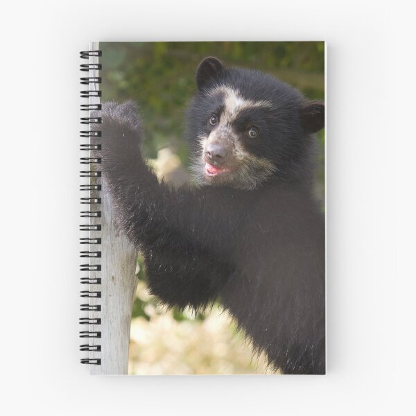 Item preview, Oso del Sol designed and sold by Sue  Cullumber.