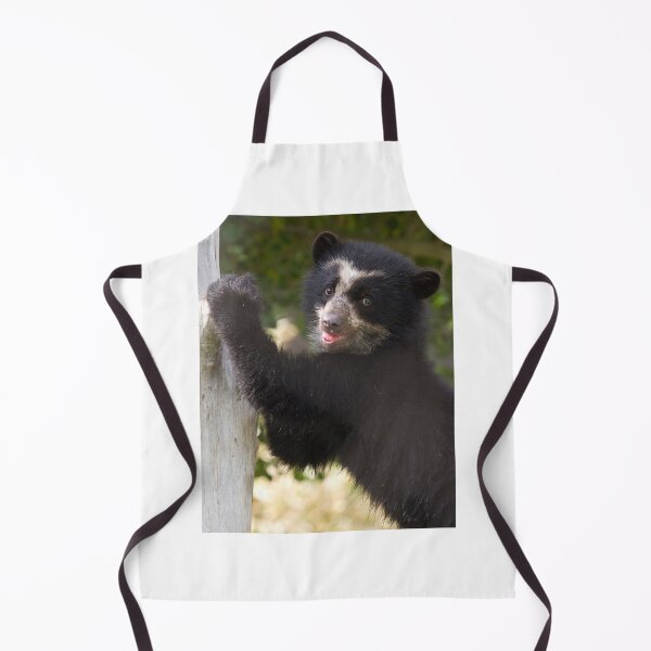 Item preview, Oso del Sol designed and sold by Sue Cullumber.