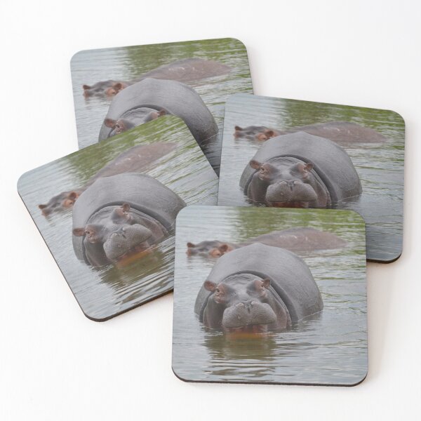 Item preview, African Hippopotamus (5) designed and sold by CncptulCaptures.