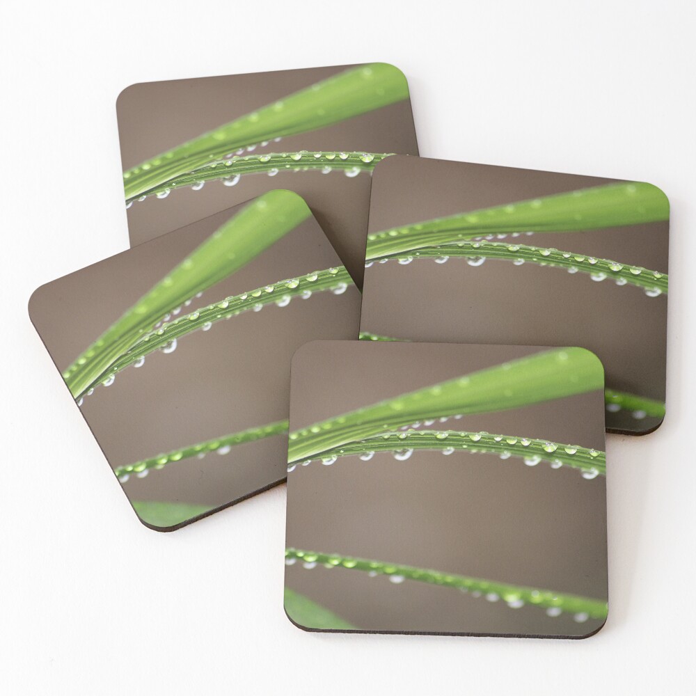 Item preview, Coasters (Set of 4) designed and sold by Keyverse.