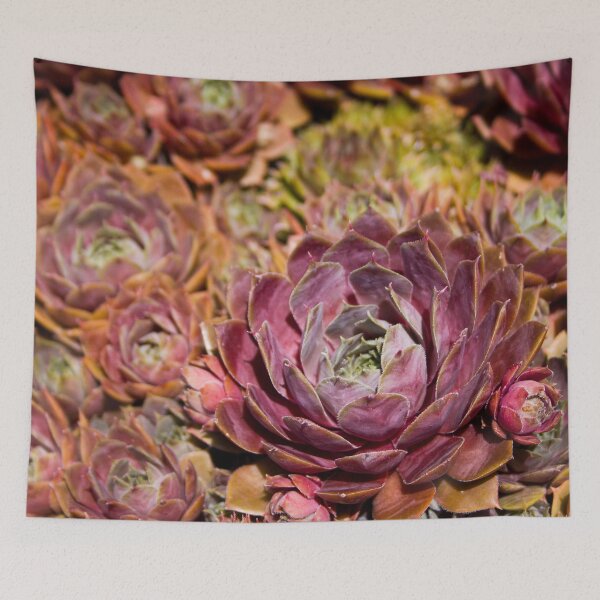 Item preview, Succulent Overload designed and sold by RampArtist424.