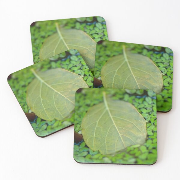 Item preview, FLOATING GREEN LEAVES | Nature Photo designed and sold by PhotoStory.