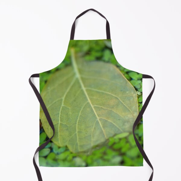 Item preview, FLOATING GREEN LEAVES | Nature Photo designed and sold by PhotoStory.