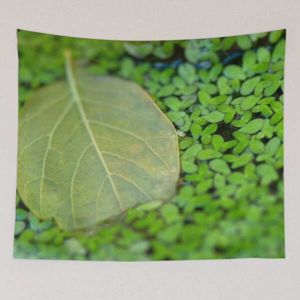 Item preview, FLOATING GREEN LEAVES | Nature Photo designed and sold by PhotoStory.