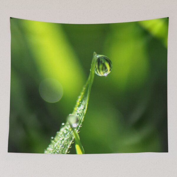 Item preview, MORNING GRASS SPARKLES | Nature Photo designed and sold by PhotoStory.