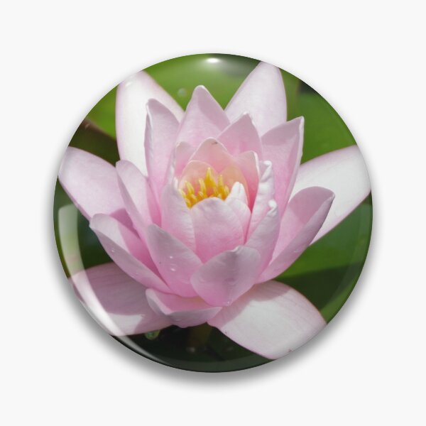 Item preview, FLOATING LILY FLOWER | Nature Photo designed and sold by PhotoStory.
