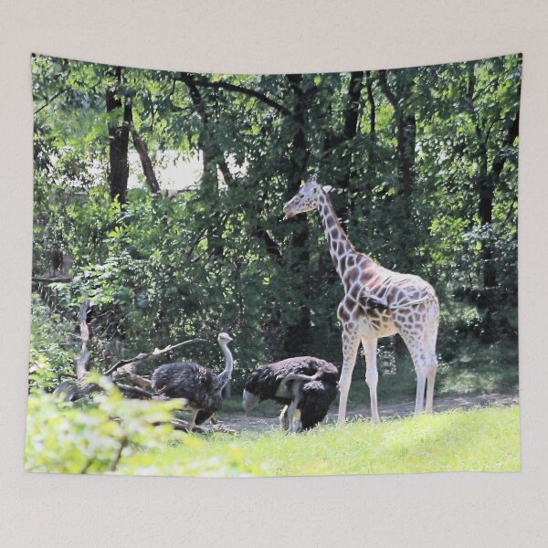 Item preview, CO-EXIST designed and sold by BOLLA67.