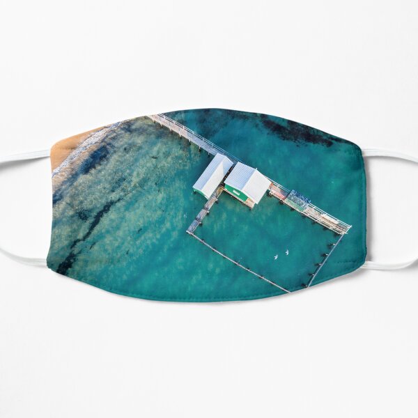 Birds in Flight Flat Mask