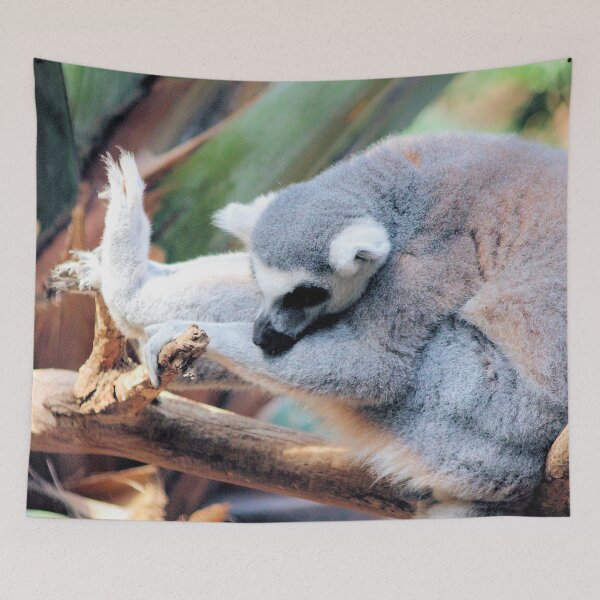 Item preview, SLEEPING FUR BALL designed and sold by BOLLA67.