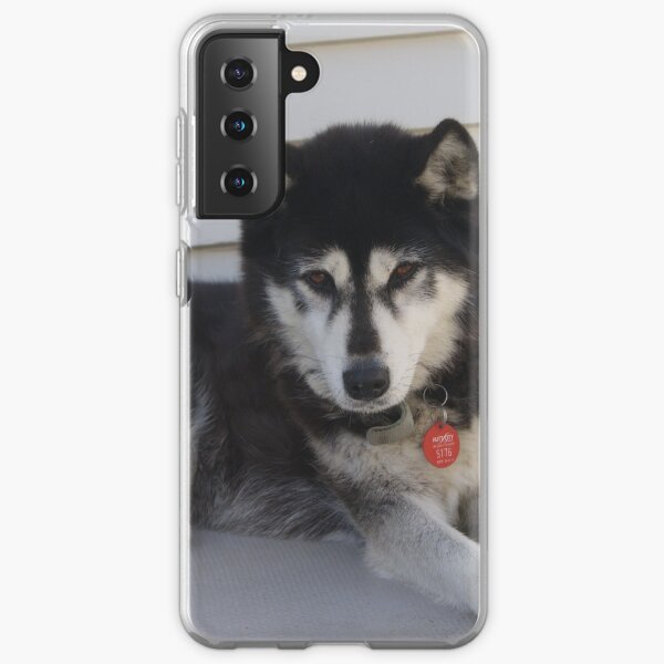 Siberian Husky Samsung Galaxy Soft Case