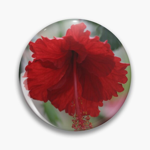 Item preview, Red Hhybiscus designed and sold by STHogan.