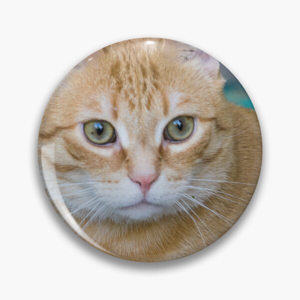 Item preview, Calico Cat. designed and sold by CanadianWild418.