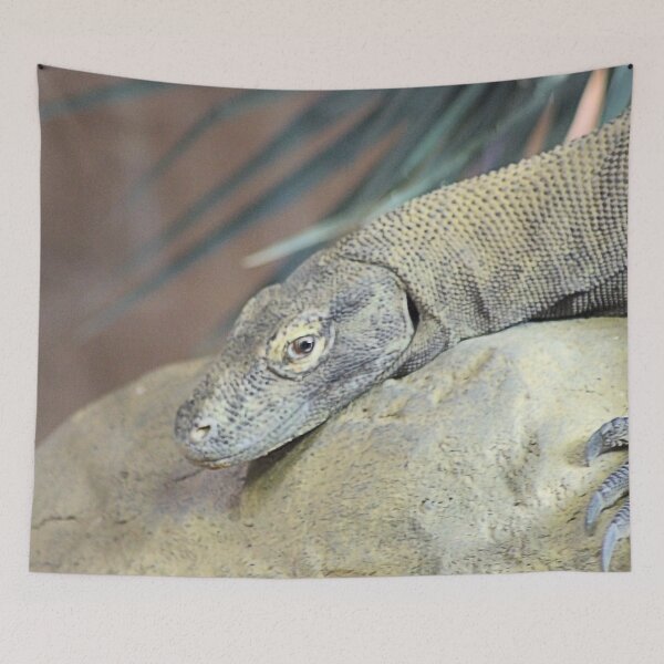 Item preview, DRAGONS LIVE designed and sold by BOLLA67.