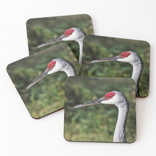 Item preview, Sandhill Crane Portrait 3 designed and sold by StevenRalserPhoto.