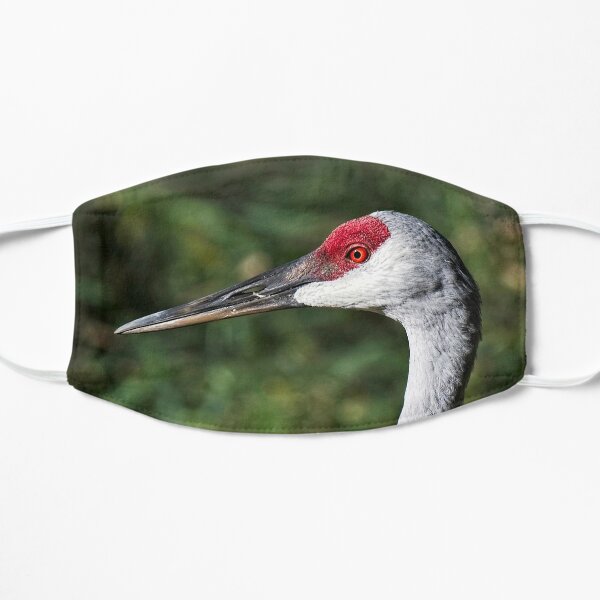 Sandhill Crane Portrait 3 Flat Mask