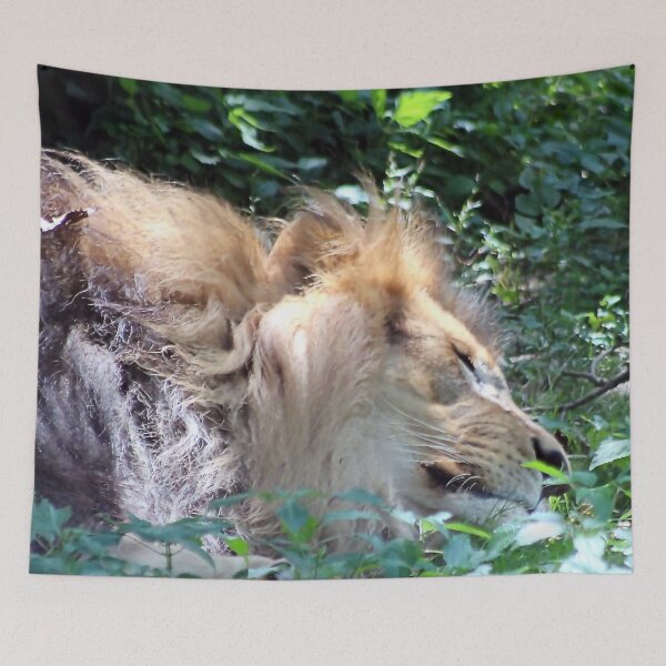 Item preview, SLEEPING LION designed and sold by BOLLA67.
