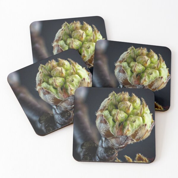 Item preview, A Sign of Spring - 5 mm in diameter  designed and sold by Wolf Sverak Photography.