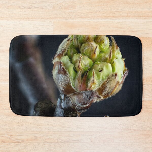 Item preview, A Sign of Spring - 5 mm in diameter  designed and sold by Wolf Sverak Photography.