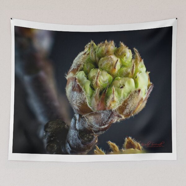 Item preview, A Sign of Spring - 5 mm in diameter  designed and sold by Wolf Sverak Photography.