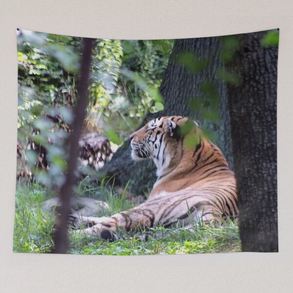Item preview, LAZY TIGER designed and sold by BOLLA67.
