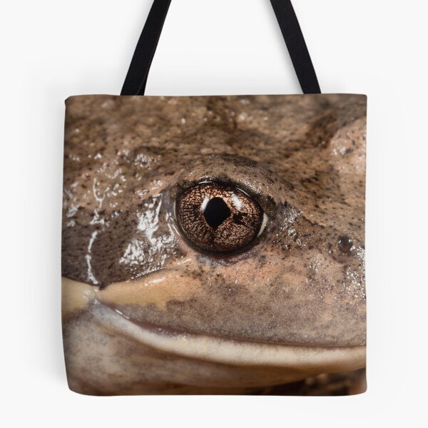 Item preview, Banjo designed and sold by Natalie Ord.