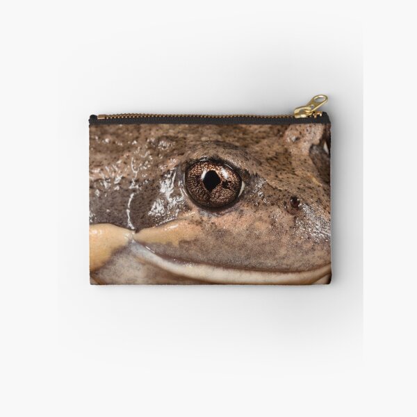 Item preview, Banjo designed and sold by Natalie Ord.