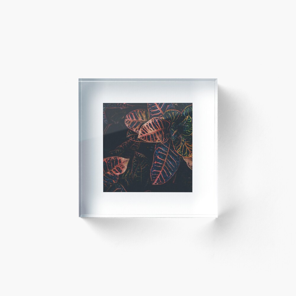 Item preview, Acrylic Block designed and sold by Graphics-Dna.