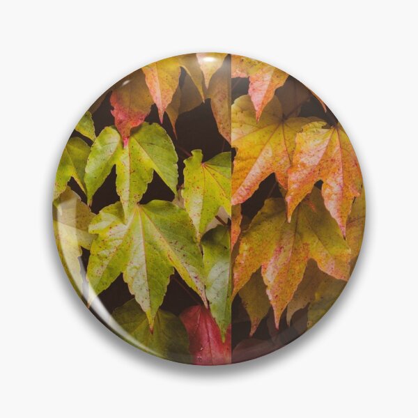 Item preview, Leaf Pattern designed and sold by Graphics-Dna.