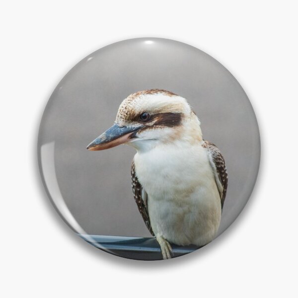 Item preview, Kookaburra Sitting on a Black Handrail NSW Central Coast of Australia designed and sold by suziq1962.