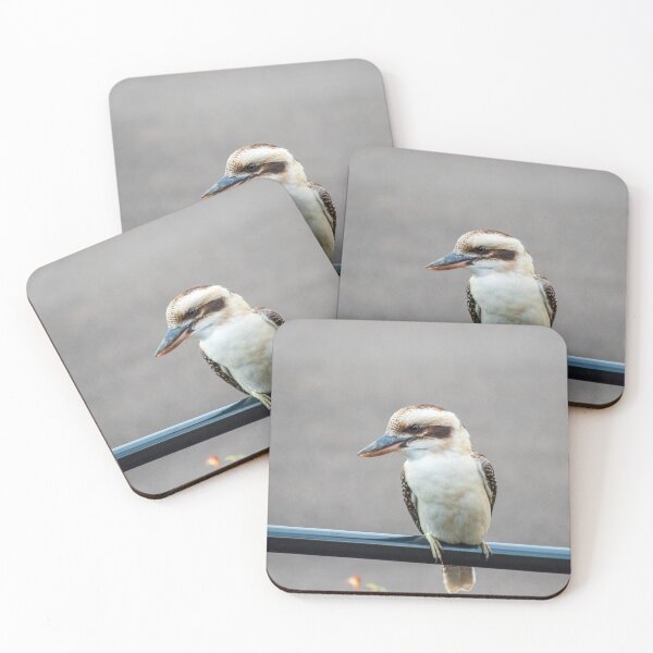Item preview, Kookaburra Sitting on a Black Handrail NSW Central Coast of Australia designed and sold by suziq1962.