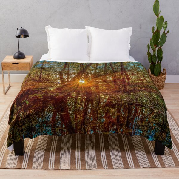 Item preview, Early morning alone in the swamp photographing light designed and sold by Steven Kight.