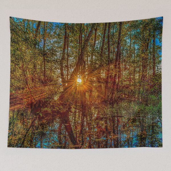 Item preview, Early morning alone in the swamp photographing light designed and sold by Steven Kight.
