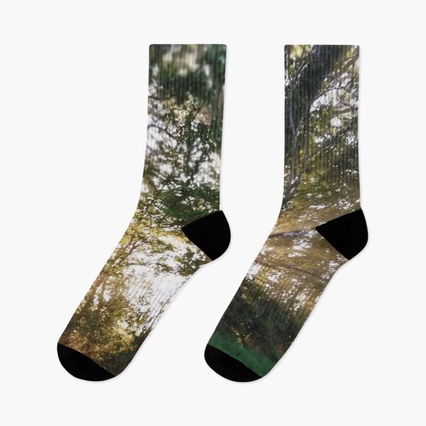 Item preview, Sun shining through trees on a beautiful afternoon hike designed and sold by rosiebeeston.