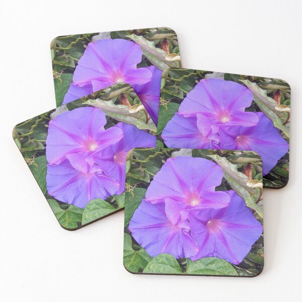 Item preview, Three Royal Purple Blooms designed and sold by EnticingRose.