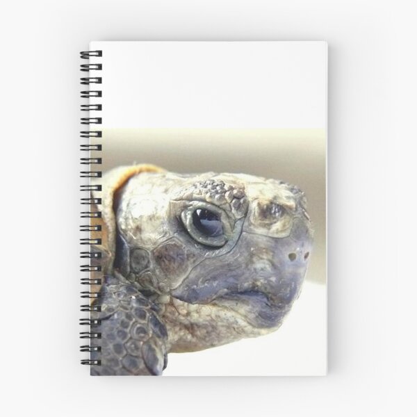 Item preview, TOTO 1 graeca greek turtle Morocco head close-up portrait animal reptile nature designed and sold by dragonemma.