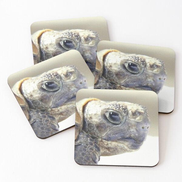 Item preview, TOTO 1 graeca greek turtle Morocco head close-up portrait animal reptile nature designed and sold by dragonemma.