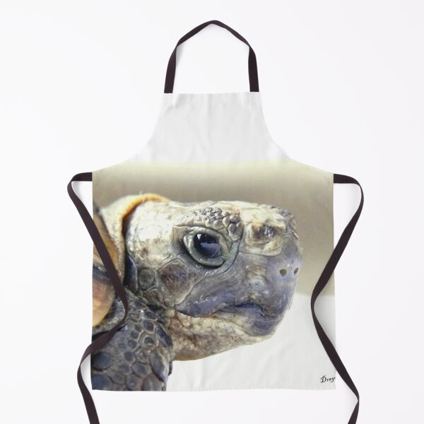 Item preview, TOTO 1 graeca greek turtle Morocco head close-up portrait animal reptile nature designed and sold by dragonemma.
