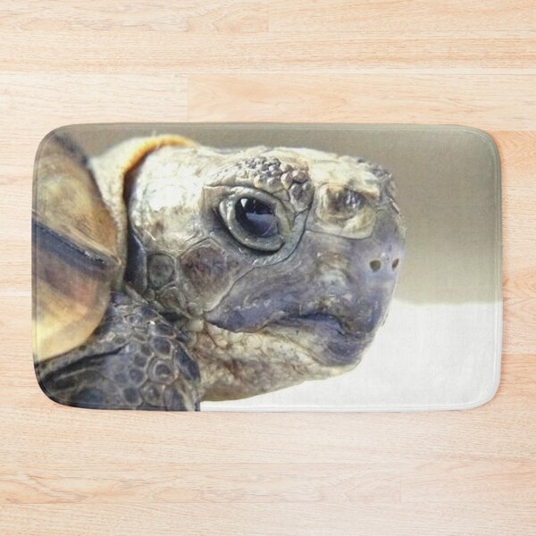 Item preview, TOTO 1 graeca greek turtle Morocco head close-up portrait animal reptile nature designed and sold by dragonemma.