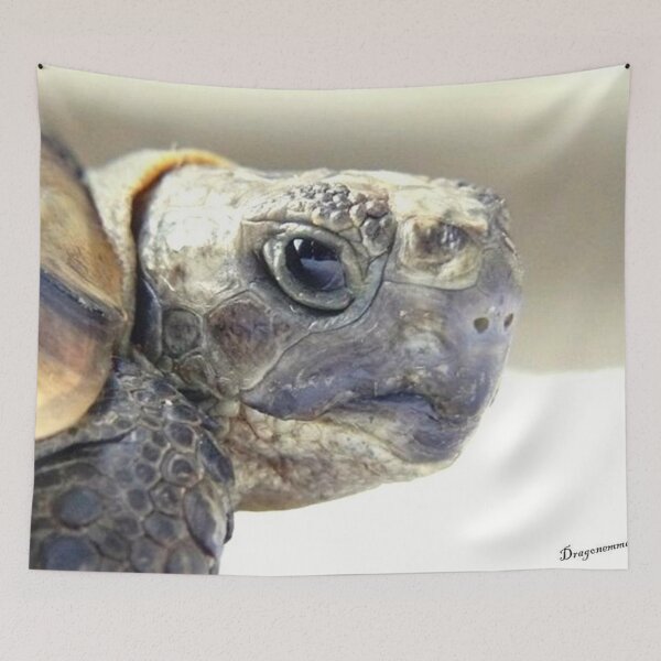 Item preview, TOTO 1 graeca greek turtle Morocco head close-up portrait animal reptile nature designed and sold by dragonemma.