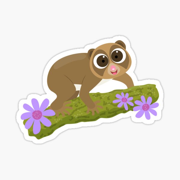 Moth Sticker – Slow Loris