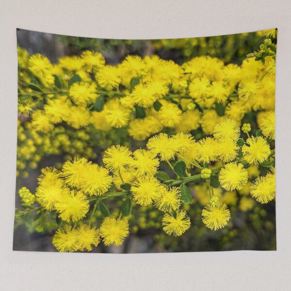 Item preview, Wattle designed and sold by RainbowOma.