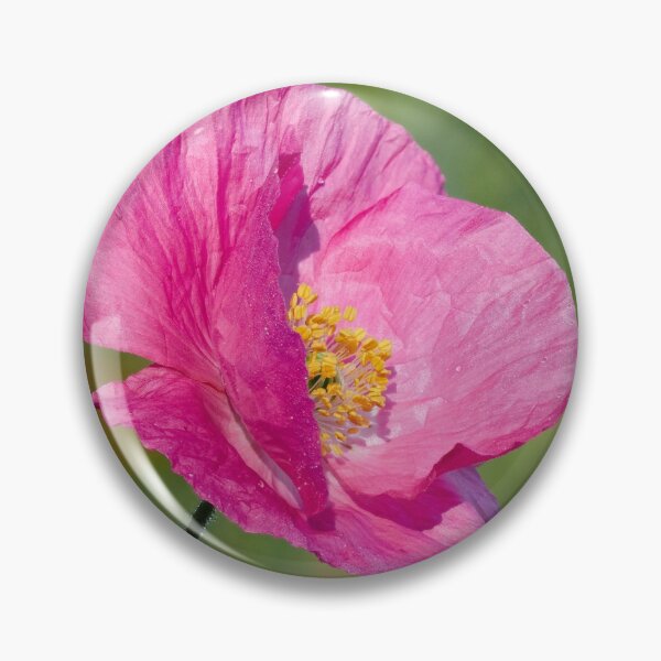 Item preview, Getting pink. Poppy number 1 designed and sold by Jouko Lehto Photography.