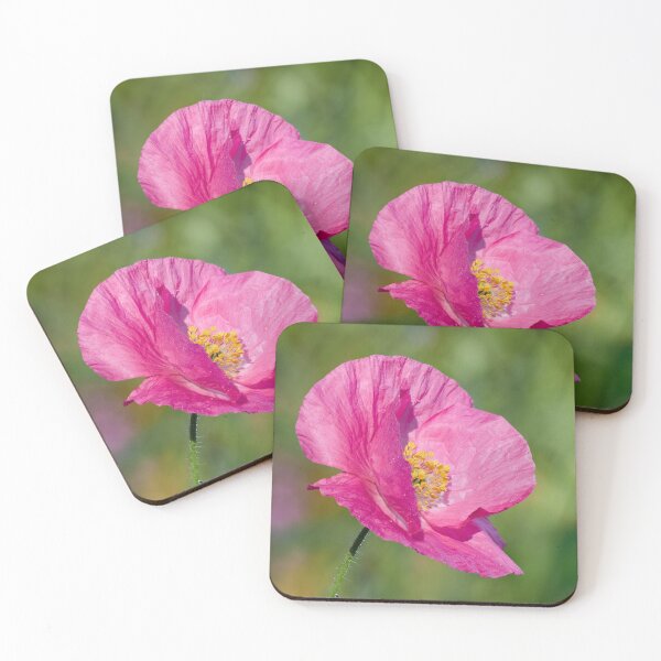 Item preview, Getting pink. Poppy number 1 designed and sold by Jouko Lehto Photography.