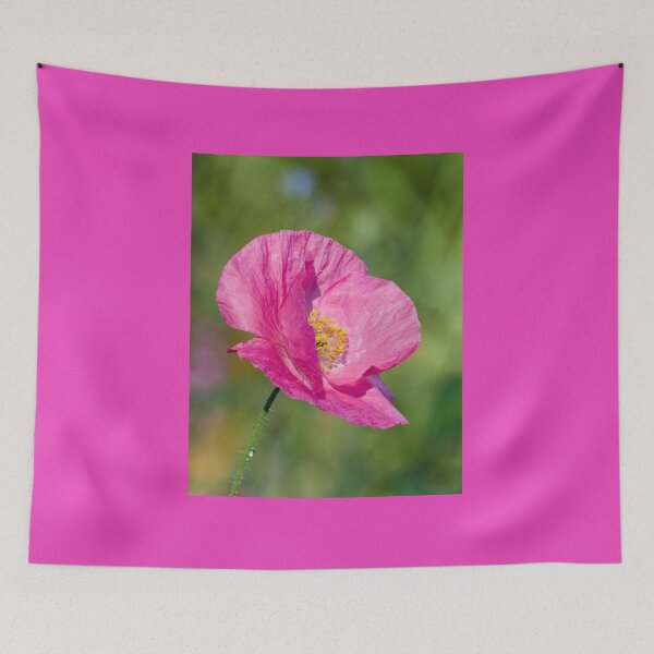 Item preview, Getting pink. Poppy number 1 designed and sold by Jouko Lehto Photography.