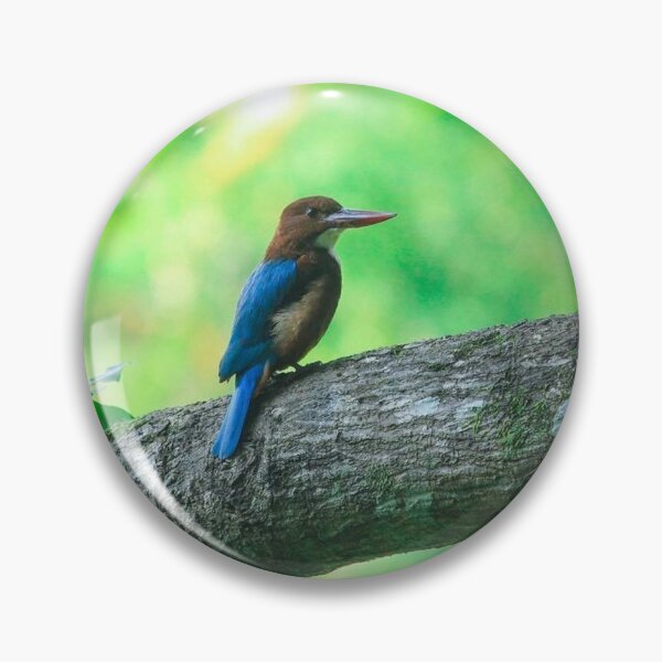 Artikelvorschau, Eisvogel. Schöner Vogel, der am Ast des Baumes sitzt entworfen und verkauft von PatilDesigns.