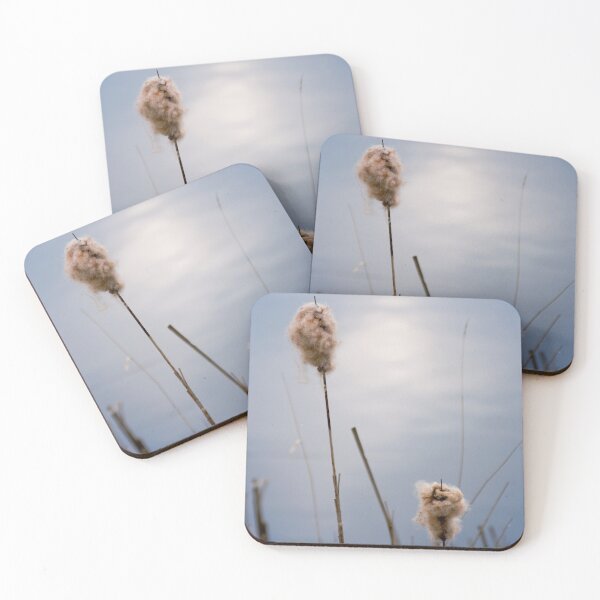 Item preview, Reeds, Norfolk Broads designed and sold by petewelsby.