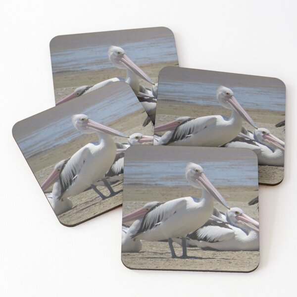 Item preview, Pelican Family designed and sold by Honey Myrtle Studio.