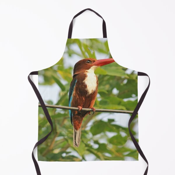 Item preview, Kingfisher. Cute Bird Sitting on branch of tree. designed and sold by PatilDesigns.