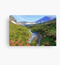 Clean and Cold Canvas Print