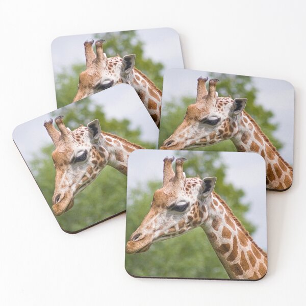 Item preview, Giraffe at Chester Zoo designed and sold by petewelsby.